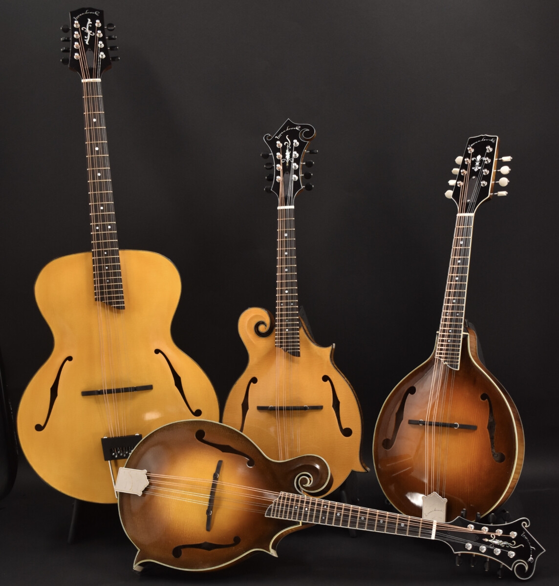 https://cedarmtm.com/wp-content/uploads/2023/09/mandolin-group-Full-Size.jpg